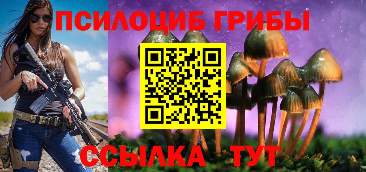 Галлюциногенные грибы мицелий Берёзовский