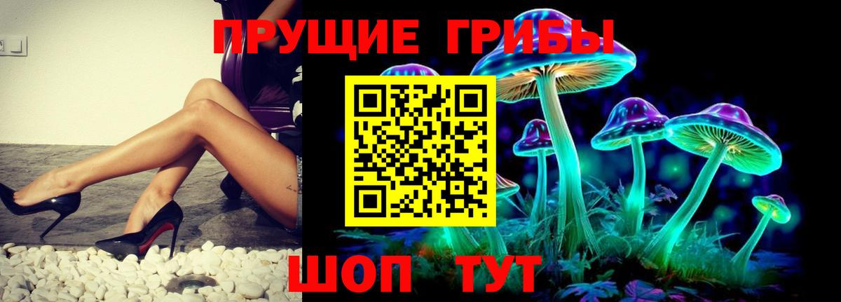 Псилоцибиновые грибы Psilocybe  Вход с VPN  Берёзовский 